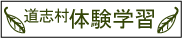 体験学習